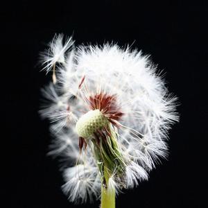 燕子品质男装～工厂直销头像