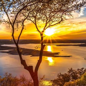 搜索 登录 登录 抖音号:  h2372157327 00后学生 关注 合集 没有数据