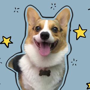 大耳朵柯基图图头像