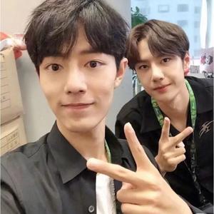 肖战是王一博的