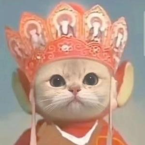 小许可正经头像