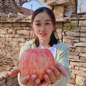 石榴姐头像
