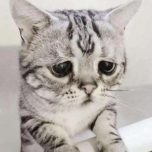 一个倒霉蛋的故事头像