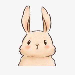 serendipity呆桃头像