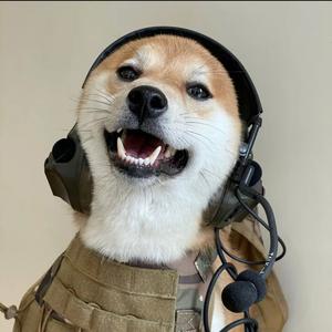 收手吧阿祖头像