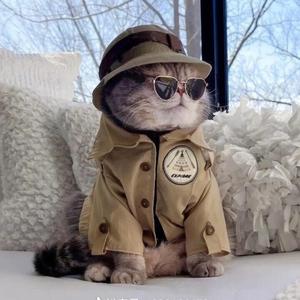 仗剑走天涯头像