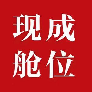 风顺国际货代公司-小龙头像