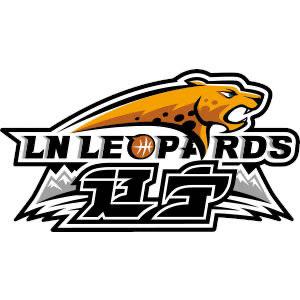 辽宁飞豹第六人头像