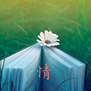 文轩·情感头像