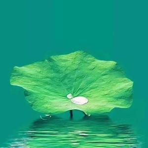 手艺人——娜娜头像