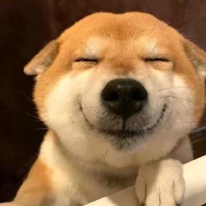 倒不如平凡头像