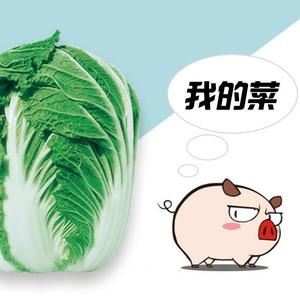 白菜头像