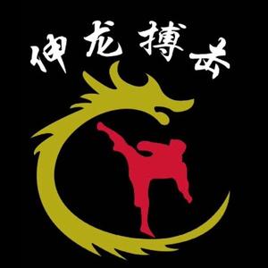 伸龙搏击h9王龙头像