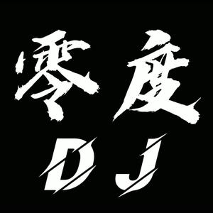 零度音乐dj(可购u盘)头像