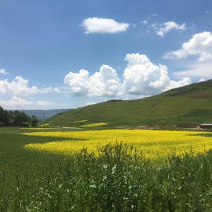 抖音头像风景虞乐图片