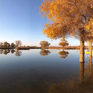 一路简单,清风随行头像