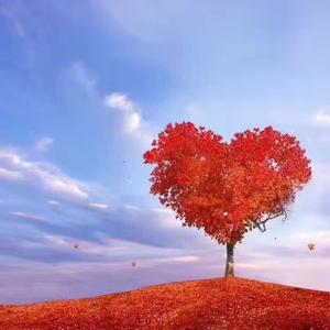 浅笑〃掩不了忧伤头像