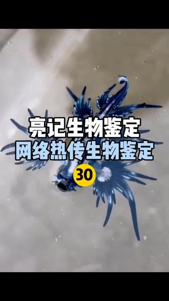 网络热门生物鉴定 无穷小亮的科普日常 抖音